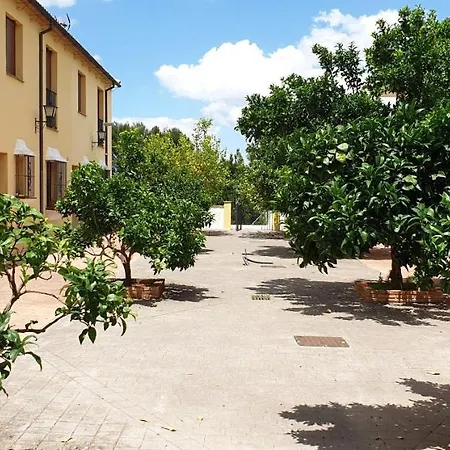 Cortijo Jacintos 아파트 *